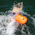 Miniatyrbild 5 av 5: Uppblåsbar Swim Booy Tow Float lättviktsanordning för vatten Orange