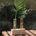 Miniatyrbild 4 av 5: 1/2/3 Glasprovrör Vas Planteringskärl Växt Terrarium för Beige 2 Tubes 1Set
