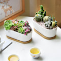 Miniatyrbild 5 av 5: 1/2 2 stycken Andningsbar keramikkruka för suckulenta växter present till Planter Pot only 1 Pc