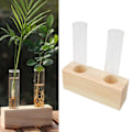 Miniatyrbild 2 av 5: 1/2/3 Glasprovrör Vas Planteringskärl Växt Terrarium för Beige 2 Tubes 1Set