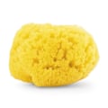 Pikkukuva 1 / 2: Chicco Natural Sea Sponge 1 kpl Gul