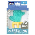 Miniatyrbild 2 av 2: Chicco Tandring +4m Fresh Relax Cactus