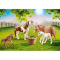 Pikkukuva 2 / 4: Country Poneys với Thỏ con Blå