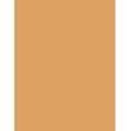 Pikkukuva 2 / 2: Mac 50 ml Studio Radiance Face and Body Radiant Transparent Foundation, C3, Makeup C3