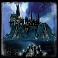 Miniatyrbillede 2 af 2: Harry Potter Hogwarts linseformet puslespil - GRANDI GIOCHI - 500 brikker - Fantasy - Interiør - Barn