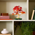 Pikkukuva 3 / 6: LEGO Botanicals 10348 Japanilainen Punainen Vaahtera Bonsai - Aikuisten Rakennussetti röd grön