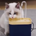 Miniatyrbild 4 av 5: 1,5 L Automatisk Vattenfontän för Katt och Hund, Vattenbehållare, Djurdryckskopp, Ny Light green