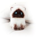 Miniatyrbild 4 av 4: 3D Simulationsdocka Katt Leksak Stereoskopisk Plyschkudde Docka Gåva Till Flicka Kvinnor Älskare Flickvän 20cm