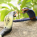 Miniatyrbild 5 av 5: Infraröd RC Fjärrstyrd Orm Realistisk Skämt Rolig USB Leksak