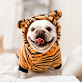 Miniatyrbillede 4 af 6: Kæledyrshundetøj Vinter Blød Fleece Hunde Hættetrøjer Kæledyrstøj til Små Hunde Hvalpe Katte Chihuahua Yorkshire Kæledyrskostume Cow M