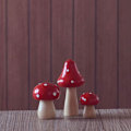 Miniatyrbillede 3 af 5: 9 stk. Miniaturfigurer af svampe, mini træsvampe, tilbehør til eventyrhaver, blomsterpotter, mikrolandskabsdekoration