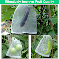 Miniatyrbillede 5 af 5: 30 stk. Insekter Myg Bug Net Barrierepose, Plante Frugt Beskyttelsesnetpose Lille Havenetpose 15 X 25 cm