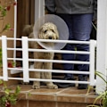 Miniatyrbillede 3 af 5: Kort hundegitter trappegitre til hunde babygitre til hunde Lav sikkerhed Udtrækkeligt gitter