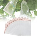 Miniatyrbillede 1 af 5: 30 stk. Insekter Myg Bug Net Barrierepose, Plante Frugt Beskyttelsesnetpose Lille Havenetpose 15 X 25 cm