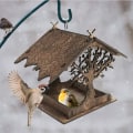 Miniatyrbillede 1 af 5: Vildfuglefoder Udendørs Træfuglefoder Udendørs Fuglekasse Han