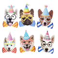 Pikkukuva 3 / 5: Koira syntymäpäiväbanneri syntymäpäiväkoriste Koira teemajuhla Bunting Deco