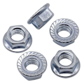 Miniatyrbilde 1 av 4: M10 standard stigning, sekskantmutter med tagger, 5 stk