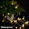 Miniatyrbild 3 av 5: Led Globe String Lights Batteridriven  20Ft 40 LEDs  Varm Vit