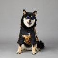 Pikkukuva 3 / 5: Koira Takki, Lemmikki Takki, Koira Sadesuoja-XL