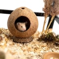 Miniatyrbillede 3 af 5: Kokosnød Hytte Hamsterhus Seng til Gerbils Mus Smådyr Bur