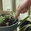 Miniatyrbillede 3 af 5: Havearbejde Værktøjer, 3 Stk Mini Havearbejde Værktøjer Kit