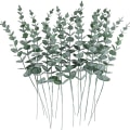 Miniatyrbillede 1 af 5: 24 stk. Eukalyptus Stængler Dekorative Kunstige Eukalyptus Blade