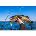 Miniatyrbillede 4 af 5: Kunstig Agnsæt Fiske-Agnsæt Wobbler 5 stk. Blyant Popper Swimbait A