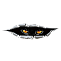 Miniatyrbillede 1 af 5: Personlig 3D Stereo Simulation Eye Car Sticker