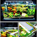 Miniatyrbillede 3 af 3: Vandlandskabslampe Fisketankbeslag LED-lampe