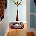 Miniatyrbillede 3 af 5: Candy Color Square Kennel - Burgundy XL