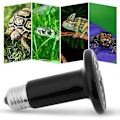 Miniatyrbillede 1 af 5: Varmelampe, Skildpadde Terrarium Varmelampe Keramisk Lyspære Infrarød Varmelampe Terrarium Hvalpe Padder Hamstere Slanger B