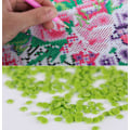 Pikkukuva 3 / 3: 5D DIY Dollar cat 5D diamond painting (30*20cm)