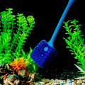 Miniatyrbillede 2 af 4: akvarium børste lang skaft børste dobbeltsidet rengøring