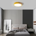 Miniatyrbillede 3 af 5: Rund LED-loftslampe til børn, diameter 30*5cm 24W, trinløs linsedæmpning, Bluetooth-forbindelse, mobiltelefonkontr.