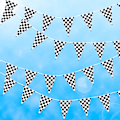 Miniatyrbillede 2 af 4: 30m PE sort gitter racing flag F1 racing string flag