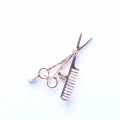 Miniatyrbild 1 av 5: Personlig brosch i kamform, huvudfärg 4071850, 3 st
