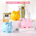 Pikkukuva 5 / 5: Piggy Bank Small Flesh 10,5*8*9,5