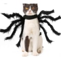 Pikkukuva 1 / 3: Pehmo Simulation Spider Pet -asu M
