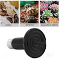 Miniatyrbillede 3 af 5: Varmelampe, Skildpadde Terrarium Varmelampe Keramisk Lyspære Infrarød Varmelampe Terrarium Hvalpe Padder Hamstere Slanger B