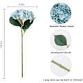 Miniatyrbillede 3 af 3: Nordisk stil hortensia, blå*5, 5 stk