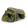 Skilpadde Reptil Habitat Ly