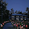 Pikkukuva 3 / 4: Vaaleanpunainen aurinkosimulaatiolyhty *2 (punainen),