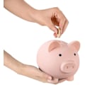 Pikkukuva 2 / 5: Piggy Bank Small Flesh 10,5*8*9,5