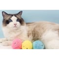 Miniatyrbillede 3 af 3: Kattelegetøj Skrigende bolde Catnip Lærer Kattebolde Fugle Slibe Tænder Bide Modstandsdygtige (3 Pack),