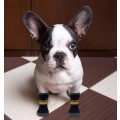 Miniatyrbild 2 av 4: Anti-halkstrumpor för husdjur (Gula Dog Claw Anti-Drop strumpor/4 Pack-M)
