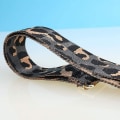 Miniatyrbillede 5 af 5: Rem, justerbar, gul leopardprint