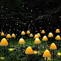 Pikkukuva 4 / 5: Vedenpitävät aurinkovalot ulkokäyttöön, aurinkokenno LED-valot ulkopuutarhavalot, sienikeijuvalot, 3,8 m 12 valot