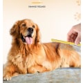Miniatyrbillede 5 af 5: Hundekam langt tykt hår, fjernelse af pelsbørste i rustfrit stål Kæledyr Hunde Kat Frisørkamme