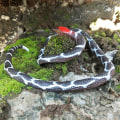 Miniatyrbillede 4 af 5: Creative Tricky High Toy 30in Snake Blød Lim Skræmmende Hel Person Gummi Dyr Fake Snake Toys S Red