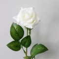 Pikkukuva 2 / 2: Jäljitelmä Rose White 10 kpl